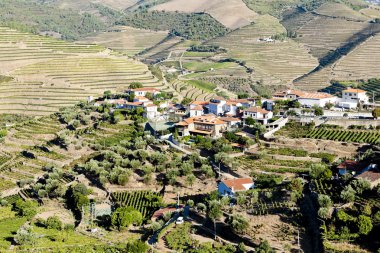 vineyars douro Valley, Portekiz