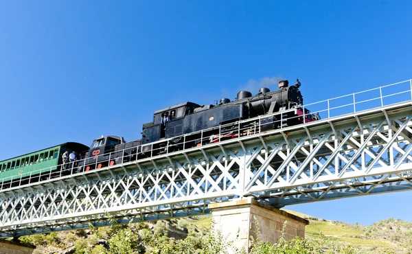 Parní vlak v údolí řeky douro, Portugalsko — Stock fotografie