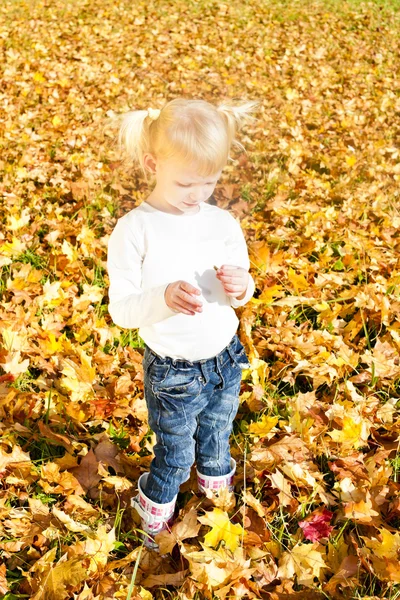 Klein meisje in de herfst natuur — Stockfoto