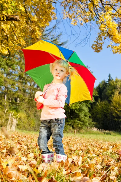 Niña con paraguas en naturaleza otoñal — Foto de Stock