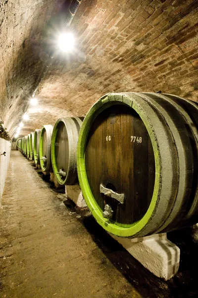 Şarap mahzeni, Çek Cumhuriyeti — Stok fotoğraf