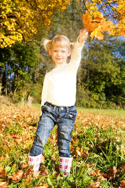 Sonbahar doğada küçük kız — Stok fotoğraf