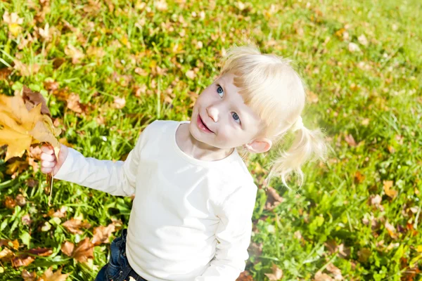 Portrait of little girl in autumnal nature — Stock Photo, Image