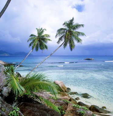 Anse Severe, La Digue, Seychelles clipart