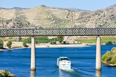 Douro valley, Portekiz