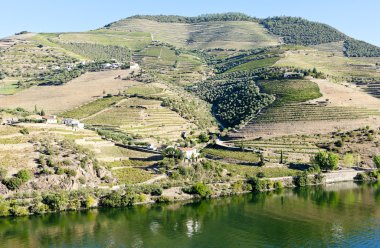 Douro valley, Portekiz