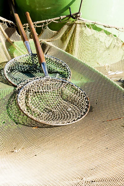Landing nets — Stock Photo, Image
