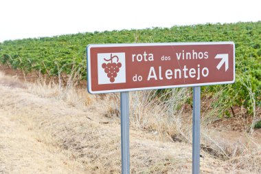 Vineyars and wine route in Alentejo clipart