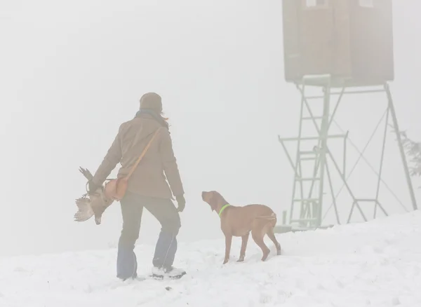 女人带着她的狗打猎 — 图库照片