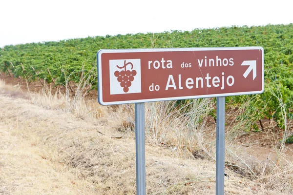 Vineyars ve şarap rota alentejo içinde — Stok fotoğraf