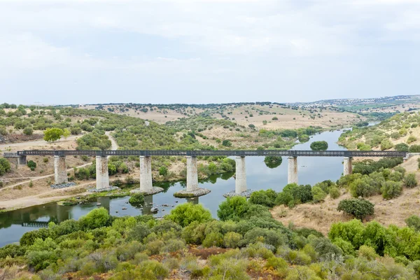 Viaducto ferroviario Río Guadiana —  Fotos de Stock