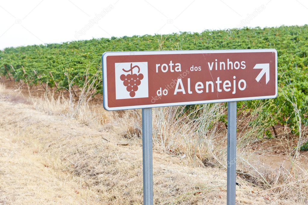 Vineyars and wine route in Alentejo