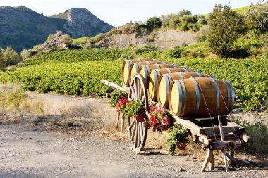 Vineyard with barrels, France clipart
