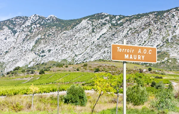 Vineyars, Languedoc-Roussillon, France — Stock Photo, Image