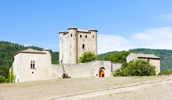 Château d'Arques — Photo