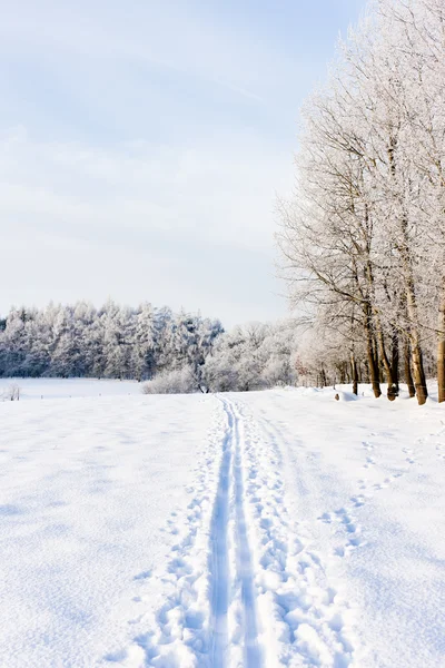 Zimní krajina — Stock fotografie
