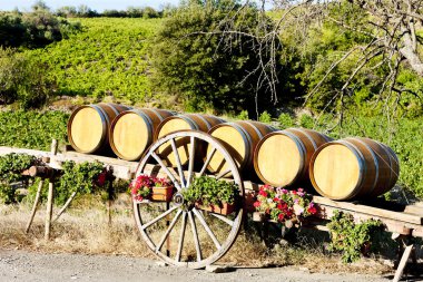 varil, villeneuve-les-corbieres, languedoc rouss bağ