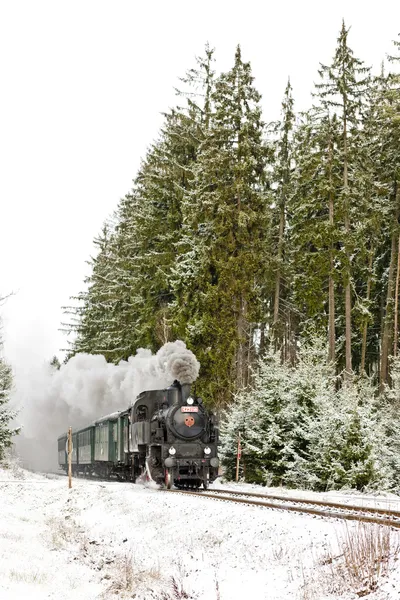 蒸汽火车附近 hradsko，捷克共和国 — 图库照片