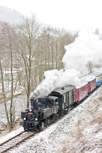 Parní vlak u hradsko, Česká republika — Stock fotografie