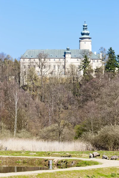 Κάστρο Lemberk, Τσεχική Δημοκρατία — Φωτογραφία Αρχείου