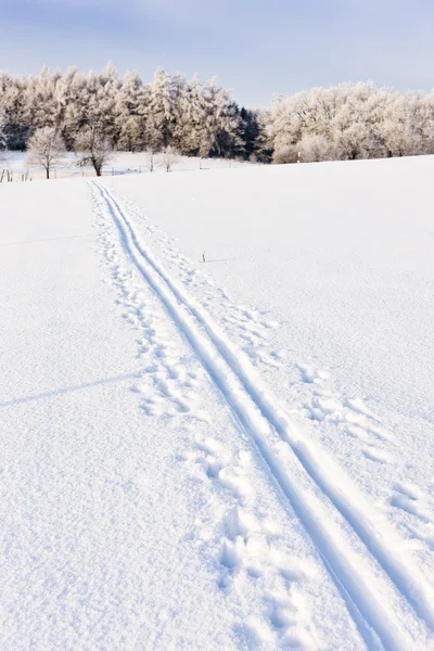 Kış manzarası, Çek Cumhuriyeti — Stok fotoğraf