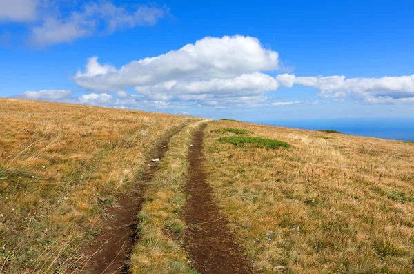 UNC-pad op de berg veld — Stockfoto