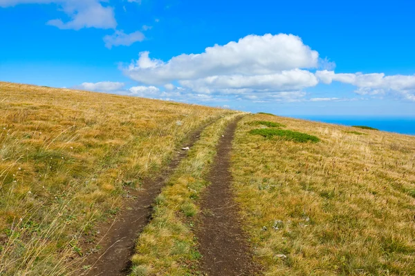 Caminho no prado da montanha — Fotografia de Stock