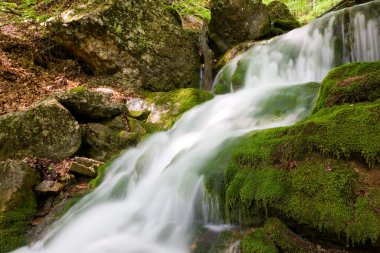 sonbahar ormandaki güzel şelale