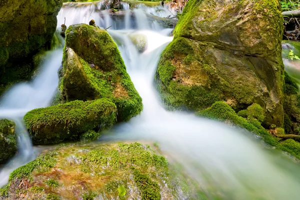 Gebirgsbach zwischen grünen Steinen — Stockfoto