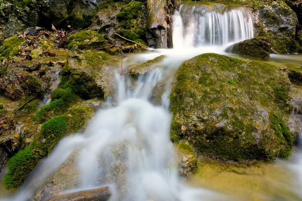 Маленький водопад на горном ручье — стоковое фото