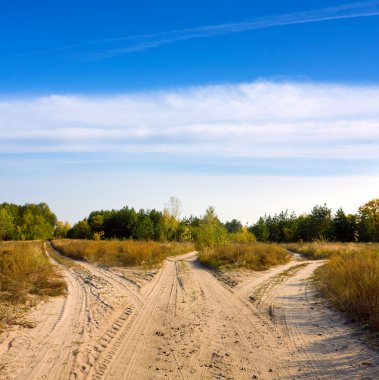 Roads in steppe clipart