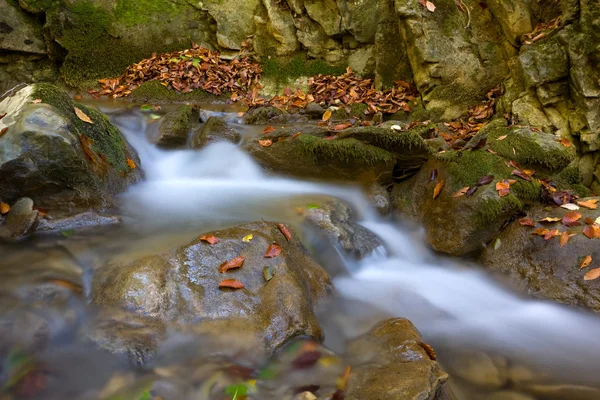 Autumn stream — Stockfoto