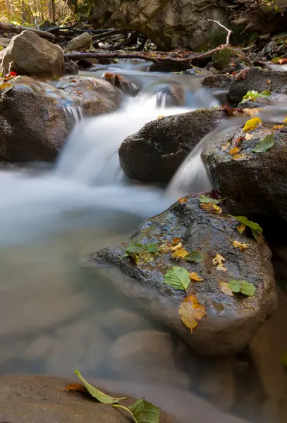 Mountain brook — Stockfoto