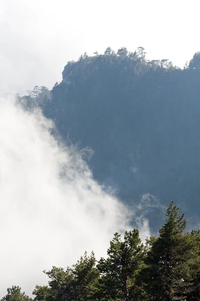 안개 산맥 — 스톡 사진