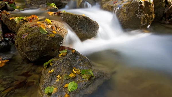 Малый водопад — стоковое фото