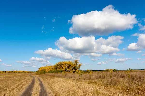 Путь на осеннее поле — стоковое фото