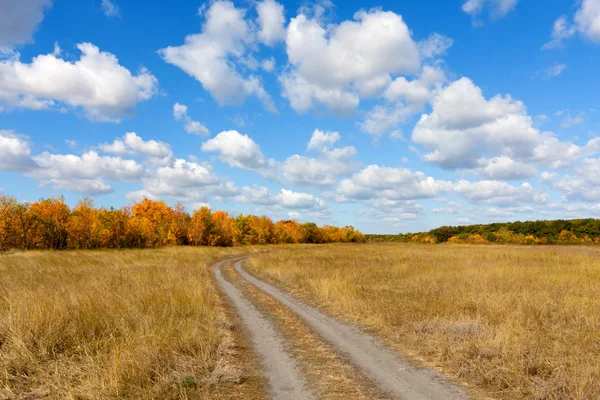 Countryside road in autumn steppe — Stock Photo, Image