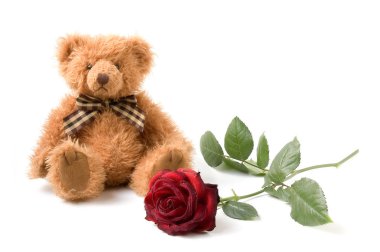 Bear and Rose clipart