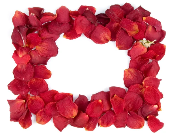 Telaio da petali di rosa rossa — Foto Stock