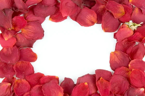 Frame van rood roze bloemblaadjes — Stockfoto