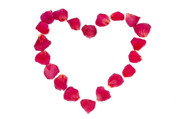 Heart frame from red rose petals — Stock Photo, Image