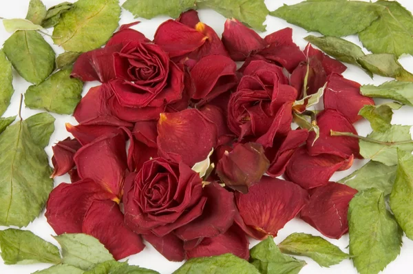 Frame from red rose petals — Stock Photo, Image