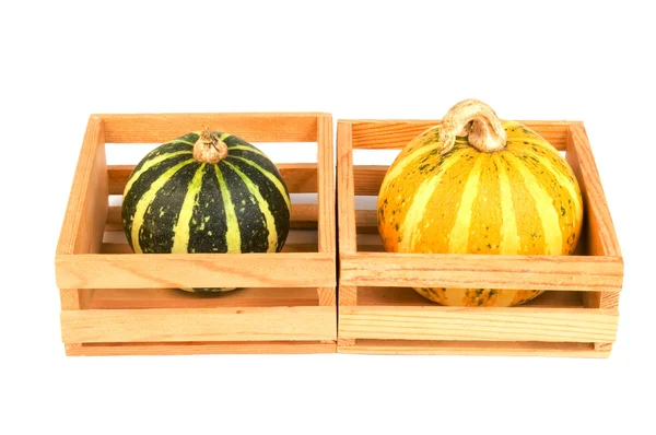 Produtos hortícolas de outono - cabaças — Fotografia de Stock
