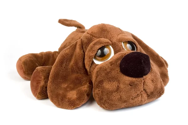 Hundvalp leksak som en gåva — Stockfoto