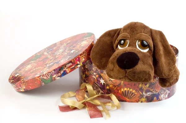 Hundvalp leksak som en gåva — Stockfoto