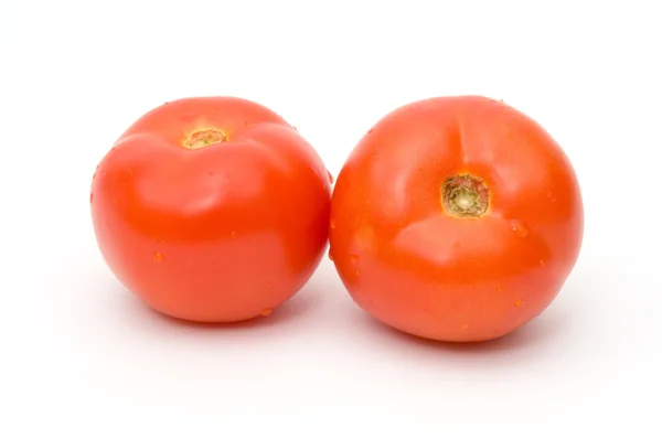 Tomat på vita — Stockfoto