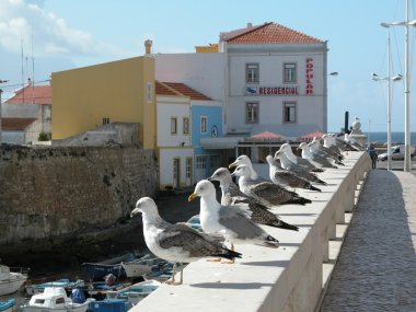 Peniche