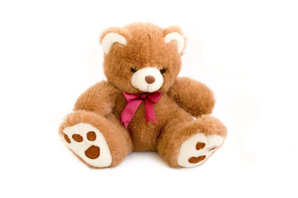 Urso brinquedo — Fotografia de Stock