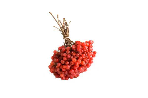 Ashberry — Stock Photo, Image