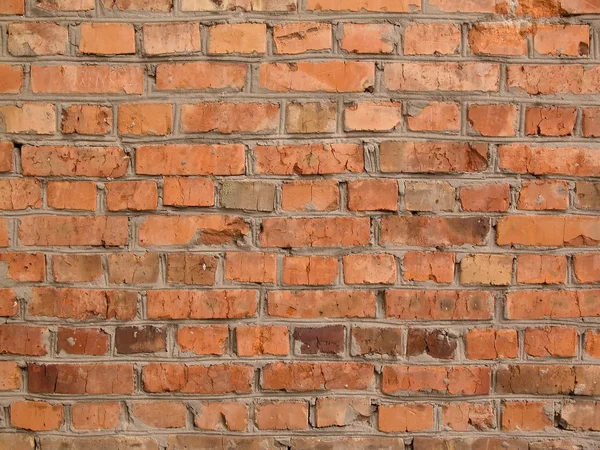 Stock image Brick wall